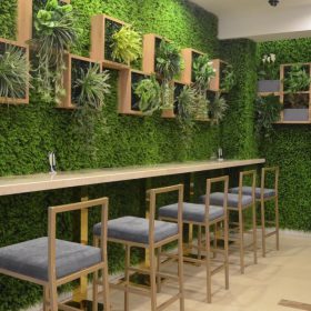 Cỏ nhân tạo ứng dụng trong cửa hàng