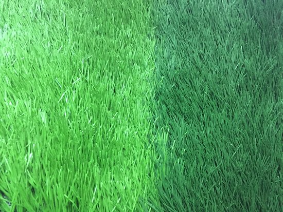 Sử dụng cỏ nhân tạo có ảnh hưởng đến sức khỏe người dùng?