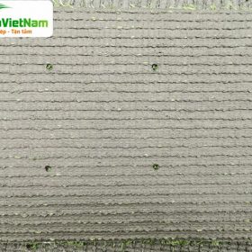 cỏ nhân tạo sân vườn ST206