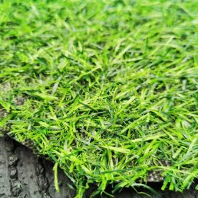 cỏ nhân tạo sân vườn ST20