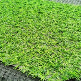 cỏ nhân tạo sân vườn ST20