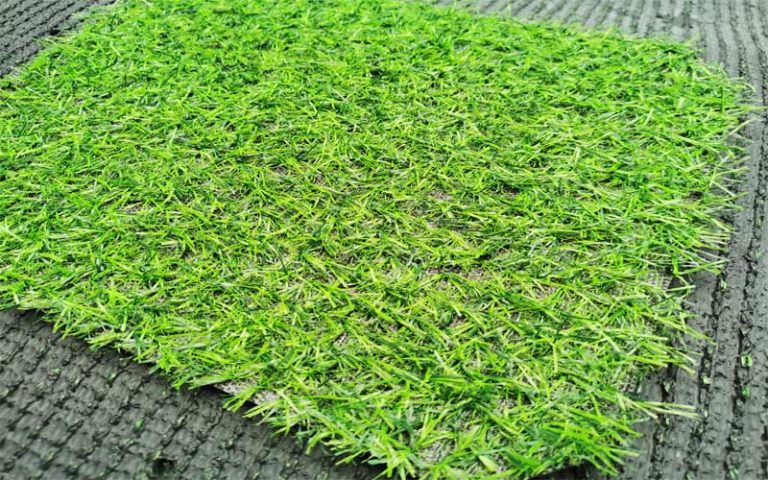 cỏ nhân tạo sân vườn ST20