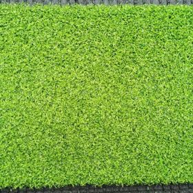 Cỏ nhân tạo sân golf G3