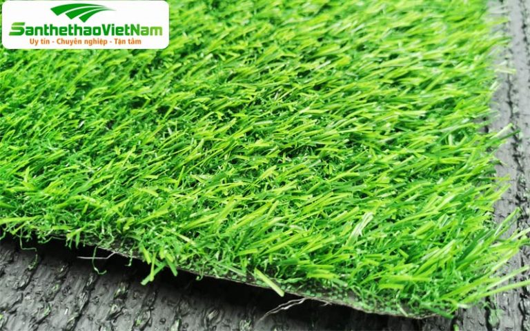 cỏ nhân tạo sân vườn ST206