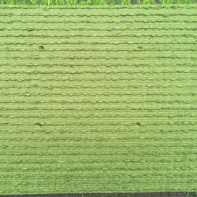 Cỏ nhân tạo sân vườn ST303