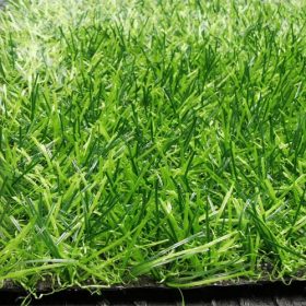 cỏ nhân tạo sân vườn ST30
