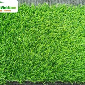 cỏ nhân tạo sân vườn ST206