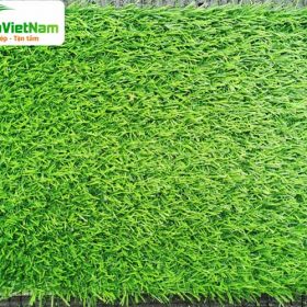 cỏ nhân tạo sân vườn ST206
