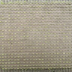 cỏ nhân tạo sân vườn ST20