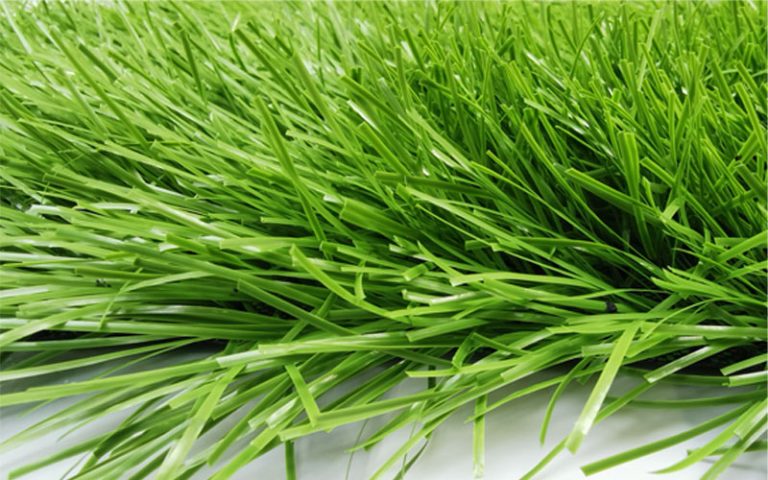 Cỏ nhân tạo sân bóng ST308