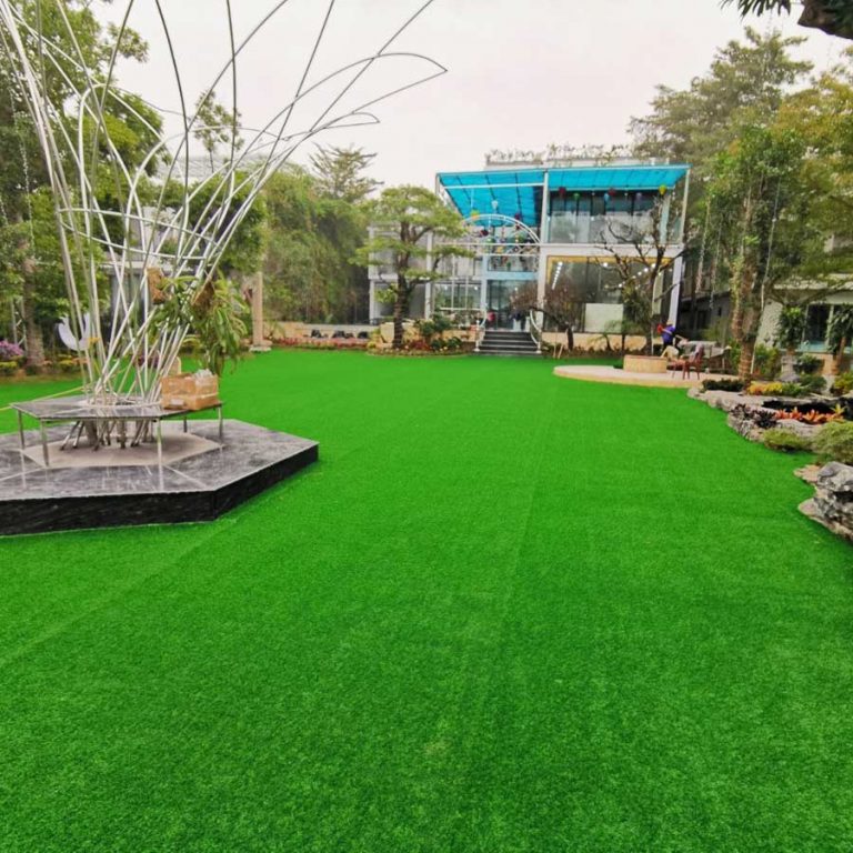 Cỏ nhân tạo sân vườn