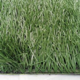Cỏ nhân tạo sân bóng ST503