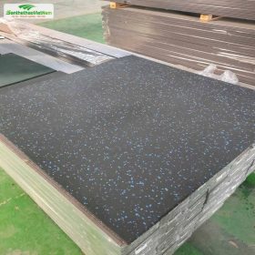 Gạch cao su EPDM 2.5cm